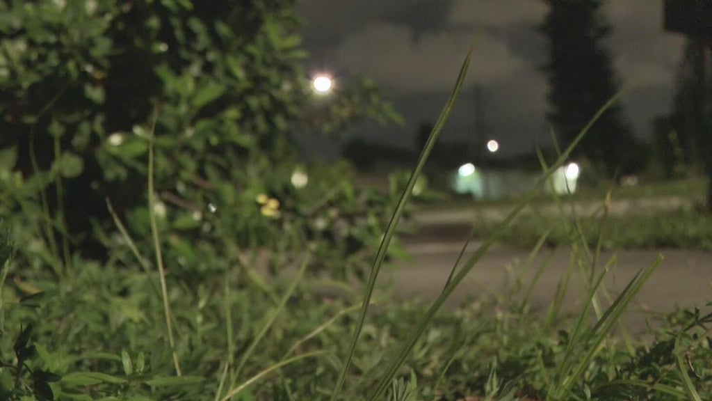 Broward mother says she went months without update after reporting man outside her window — CBS Miami, Bangkok Real Estate news