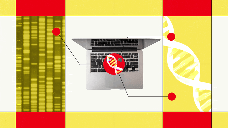 Hugging Face’s New AI Biology Model Lets You Chat With DNA — Wired, Bangkok Technology news